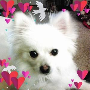 Meet your Posher, Glenda